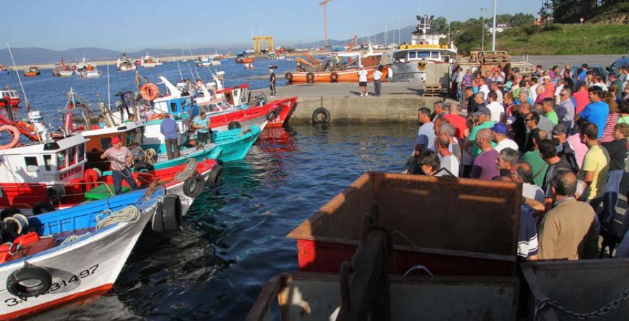 Las cofradías denuncian que el plan de la sardina pone en riesgo el xeito