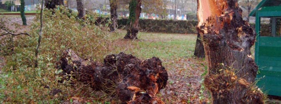 CALDAS-Los portavoces ultiman una fecha para abordar soluciones al mal estado de la Carballeira