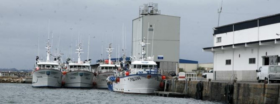 CAMBADOS - La fábrica de hielo retomará la actividad la próxima semana tras las reformas