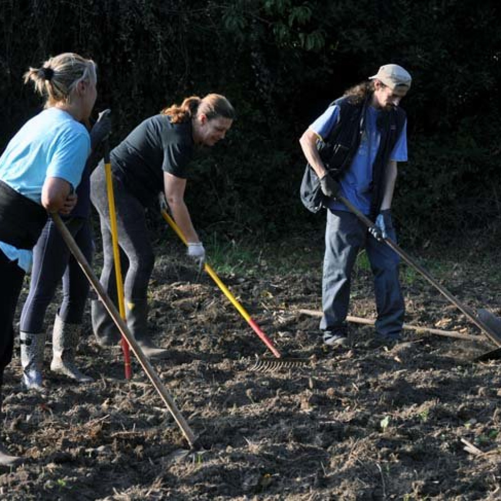 Sachos á Rúa y Amigas da Terra Galicia organizan taller de huerta ecológica