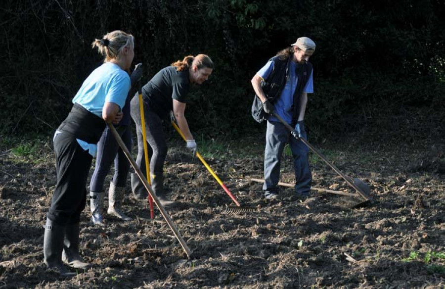 Sachos á Rúa y Amigas da Terra Galicia organizan taller de huerta ecológica