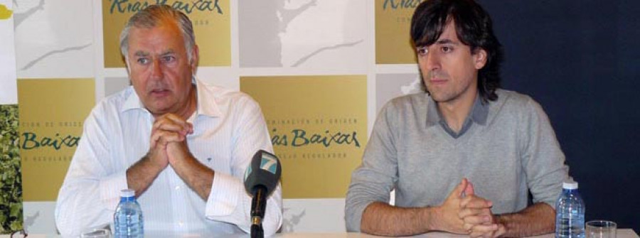 CAMBADOS-La Ruta Rías Baixas oferta un autobús para conocer la vendimia de cerca