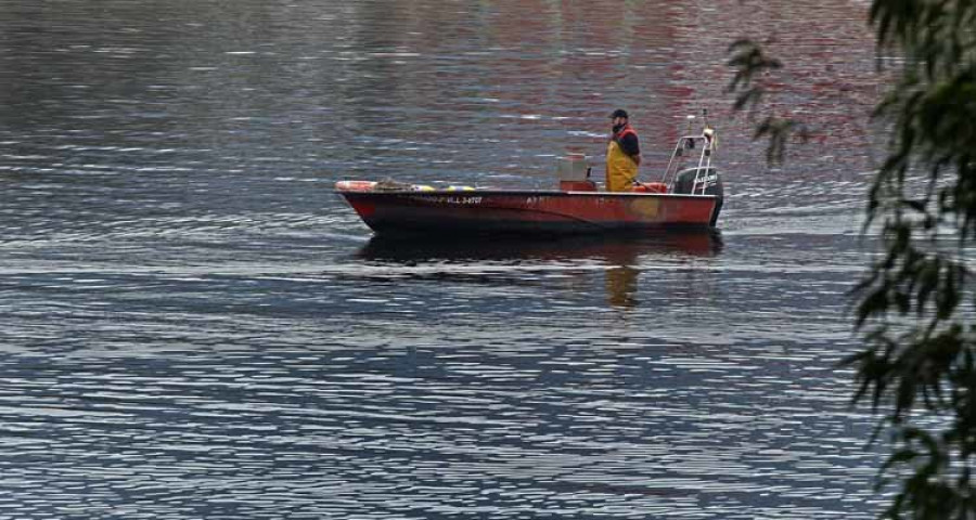 La Xunta fija en 5.200 kilos el tope de captura de anguilas para esta temporada