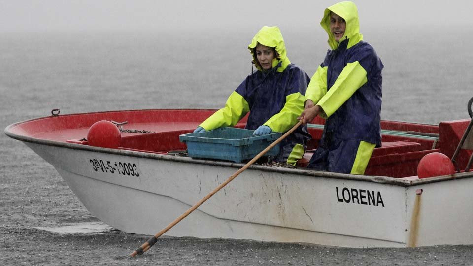 El berberecho recupera el pulso y dispara la facturación en Carril a los 6,8 millones