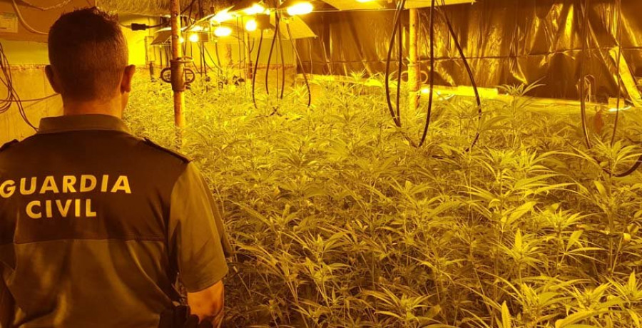 Detienen a dos jóvenes por el cultivo de 315 plantas de marihuana en Meis