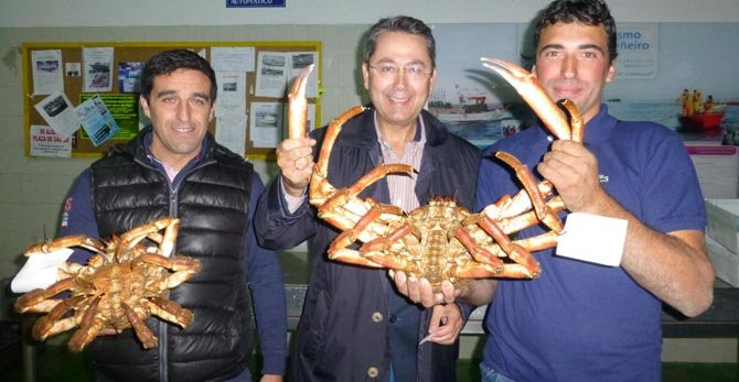 O GROVE- Un macho de 4,4 kilos de peso y una hembra de 2,1 ganan el concurso de Centola Viva celebrado en la lonja