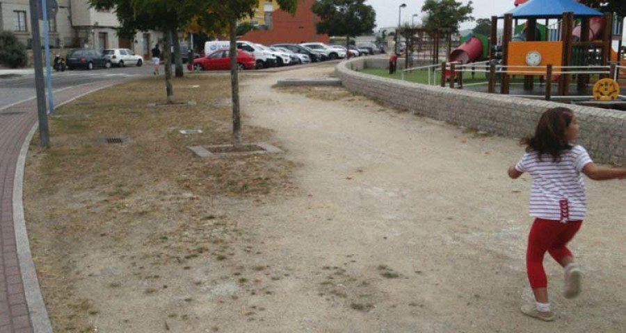El PGD urge un sistema de riego para las zonas verdes y un baldeo de calles