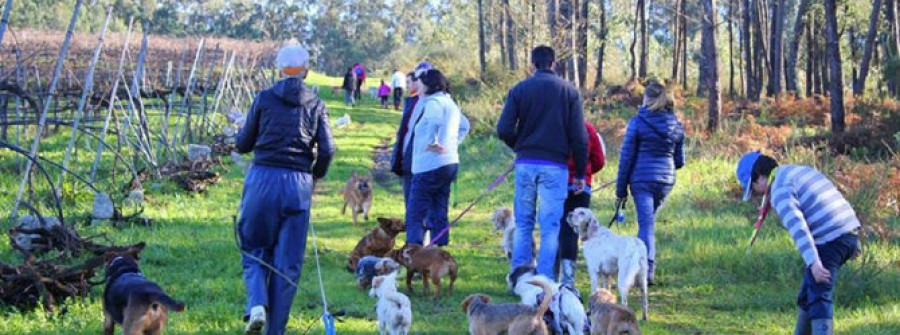 CAMBADOS - El Refugio, harto de la “dejadez” del Concello ya no recogerá perros y gatos abandonados