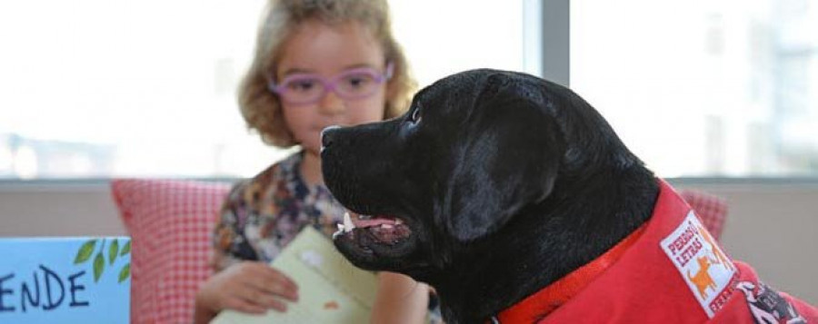 O Grove acoge mañana un taller de animación a la lectura con perros