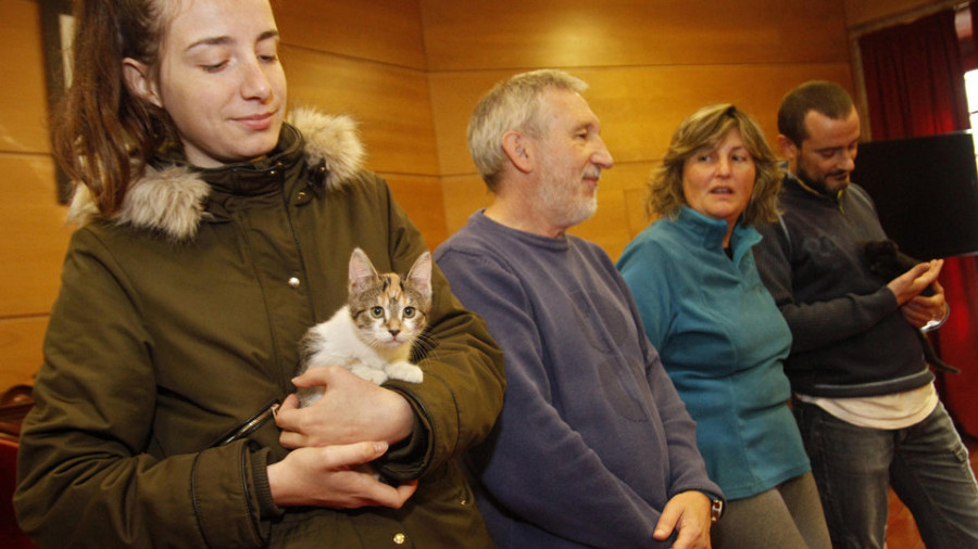 Cambados oferta yoga con gatos y plantea una campaña comarcal de esterilización