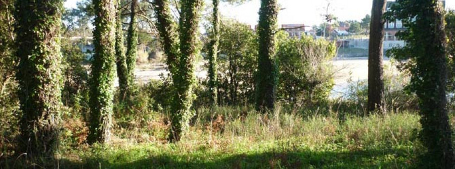 RIVEIRA-El Ayuntamiento comprará dos terrenos en Coroso para hacer un área de ocio y esparcimiento