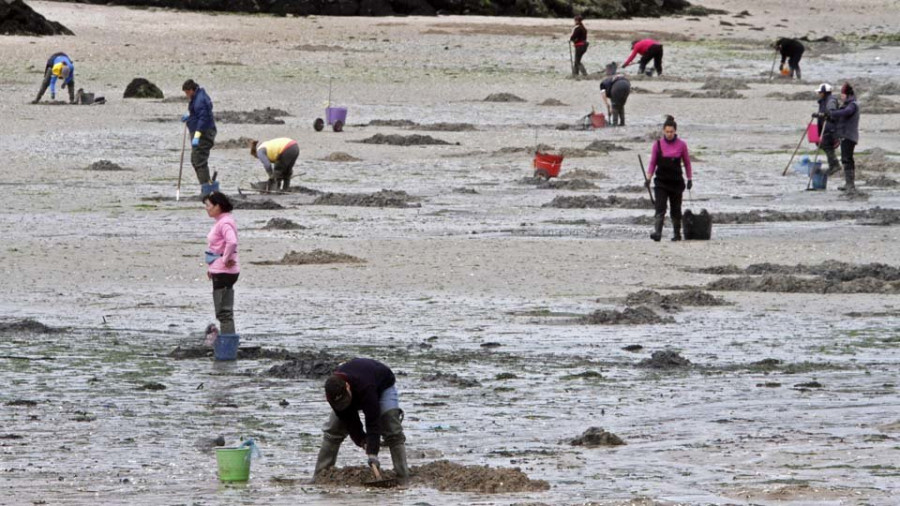 Rañeiros de Vilaxoán denuncian que las mariscadoras usurpan almeja de su zona