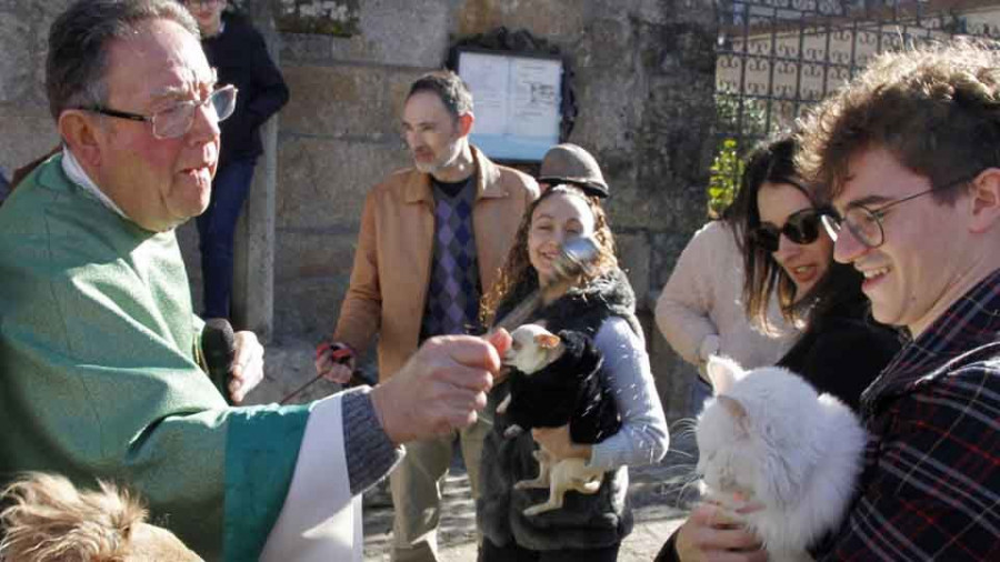 Fefiñáns acogió la tradicional bendición de mascotas con  perros, gatos e incluso  tortugas entre los fieles