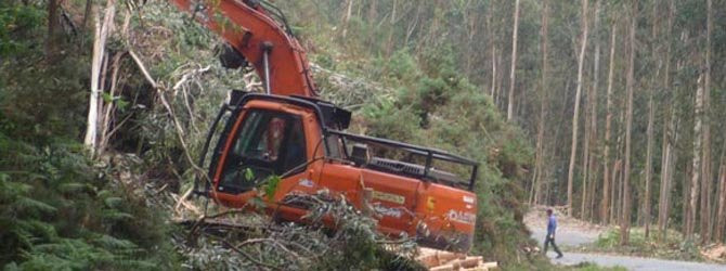 CUNTIS-Una maderera, condenada a pagar 7.311 euros por causar un accidente de tráfico durante una tala