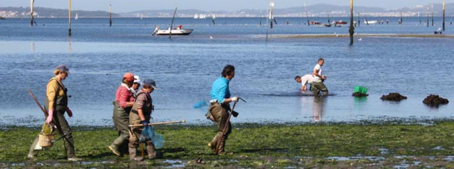 Los parquistas venderán fuera de la lonja para evitar cumplir el reglamento de tallas