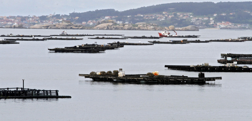 Los bateeiros convocan un paro del que se desmarcan Opmega, Amegrove y Socomgal