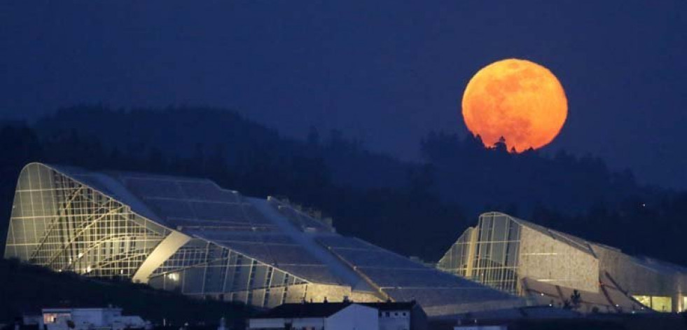 China enviará semillas e insectos a la Luna