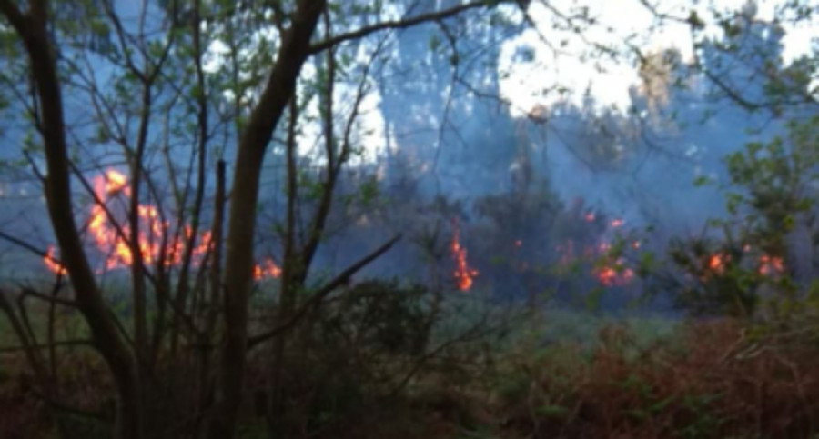 Registrado un incendio forestal en el lugar palmeirense de Chacín