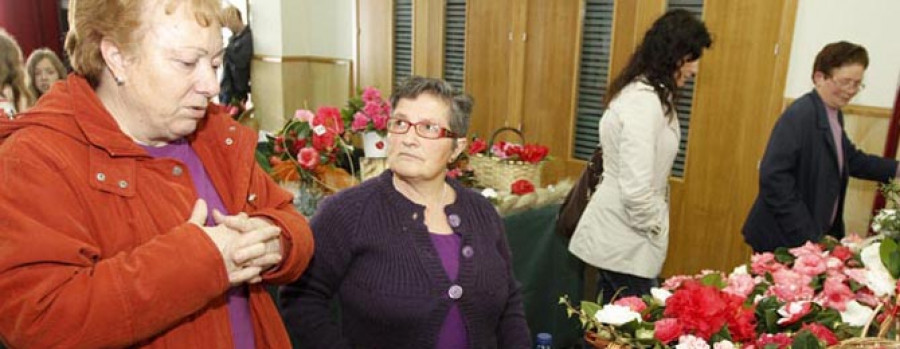 La VII Exposición da Camelia se completa con una ruta turística inspirada en la “flor de Galicia”