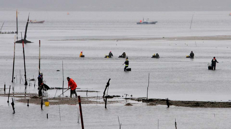 La fortuna de la Bonoloto sonríe a cinco mariscadoras de Carril