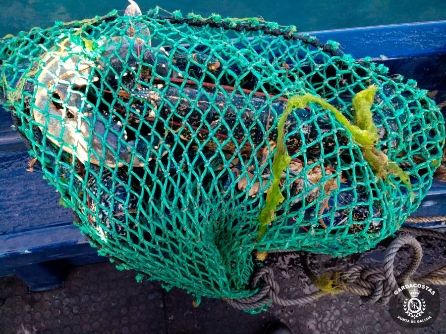 Incautan en Salvora aparejos de pesca, 12 kilos de pulpo, 15 de centollo y más de un kilo de nécora sin identificar