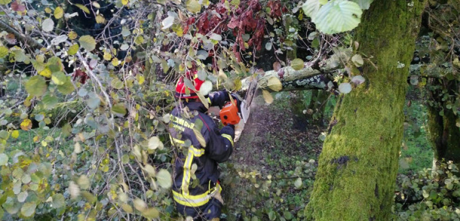 El temporal deja viales cortados, árboles desplomados e inundaciones puntuales