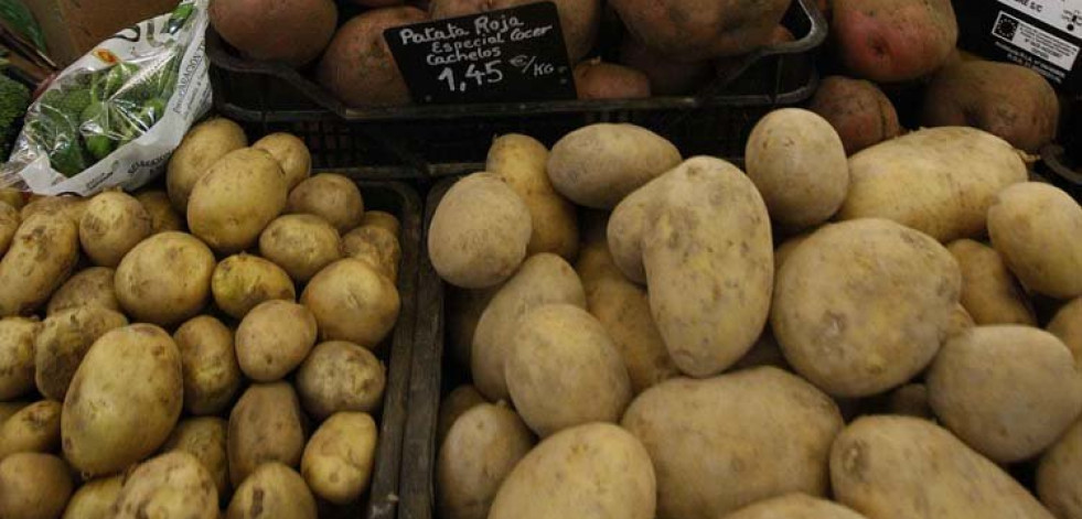 Demuestran que las patatas podrían ser cultivadas en Marte