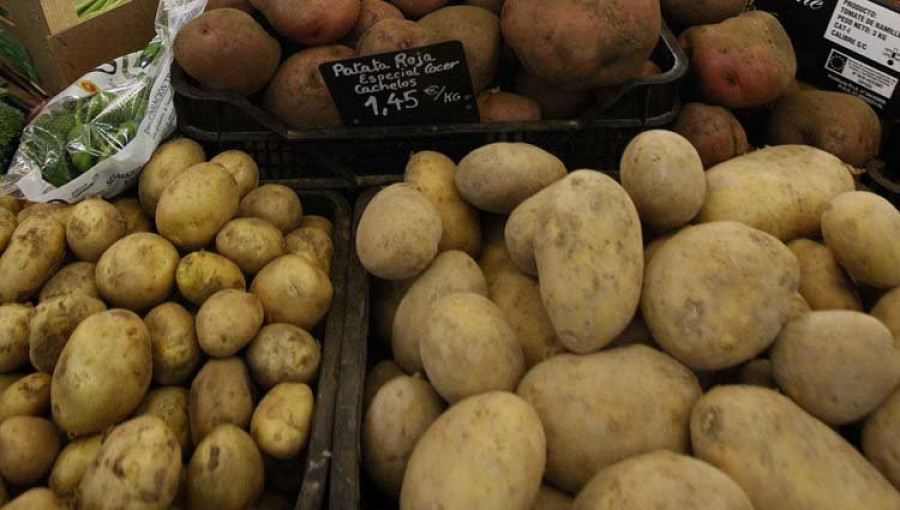 Demuestran que las patatas podrían ser cultivadas en Marte