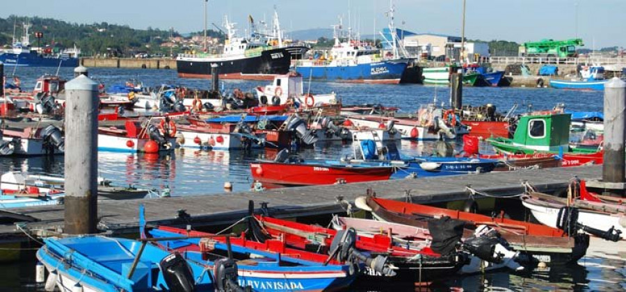 El Puerto de Riveira lidera la descarga de pescado fresco con 3.600 toneladas en dos meses