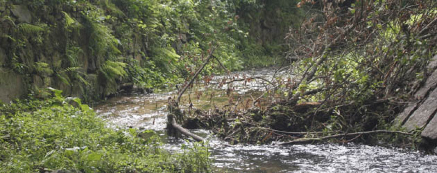 Vecinos de Rodrigo de Mendoza piden un dragado del río de A Coca