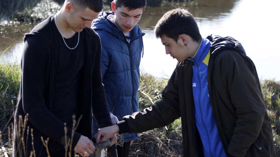 Alumnos del Salesianos realizan una limpieza de los márgenes del Umia