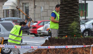 Dos trampas del Concello capturan 300 ejemplares de picudo rojo en las palmeras