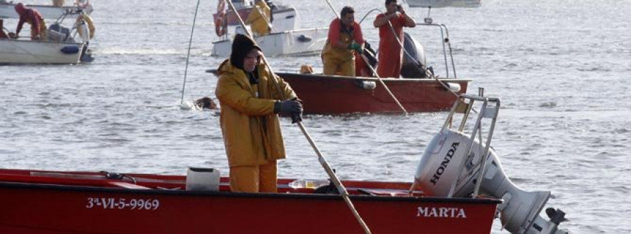 A ILLA-El Concello habilita sus oficinas para trámites del paro de los mariscadores