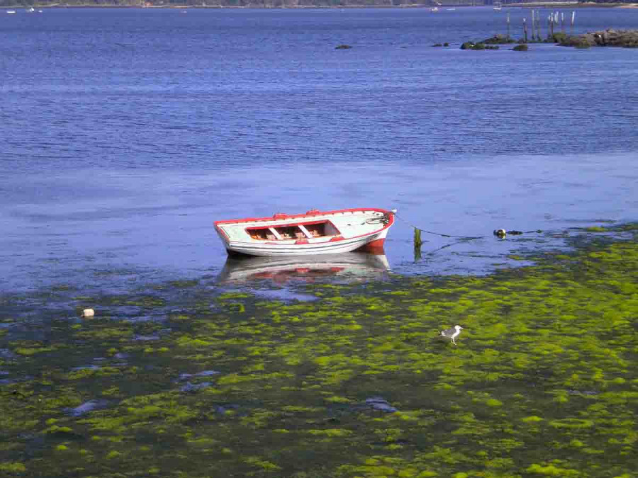 ¿Qué lugares merece la pena ver en Arousa y sus alrededores?