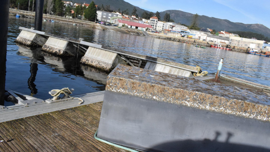La Cofradía de Pescadores y siete colectivos aguardan hace mes y medio por una reunión con Portos