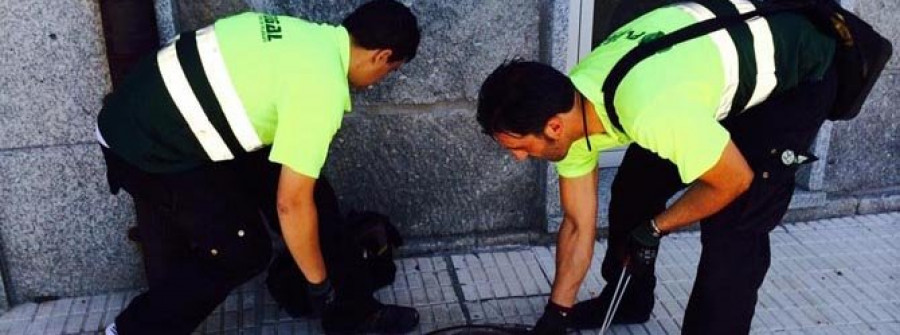 Plagal realiza una nueva campaña  de desratización en el municipio