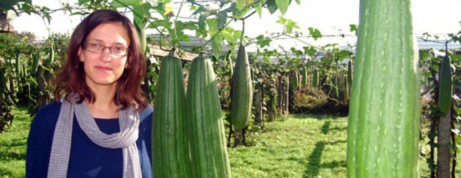 De la huerta de Caldas a la bañera