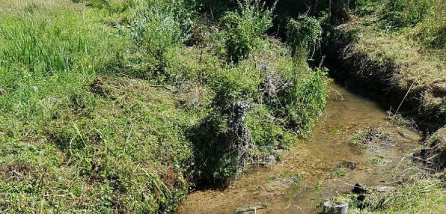 Augas libera el cauce del río Pintillón para evitar la inundación de fincas