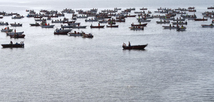 El berberecho hunde las expectativas el primer día de libre marisqueo al no alcanzar la talla comercial en Arousa