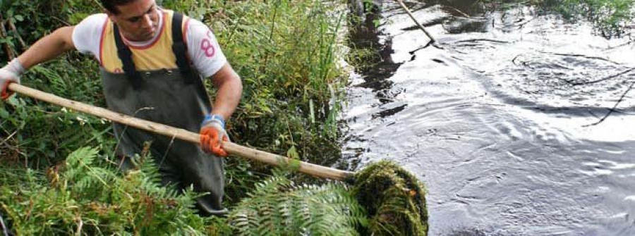 Retoman la retirada de algas del río  Umia y el Concello lo considera insuficiente