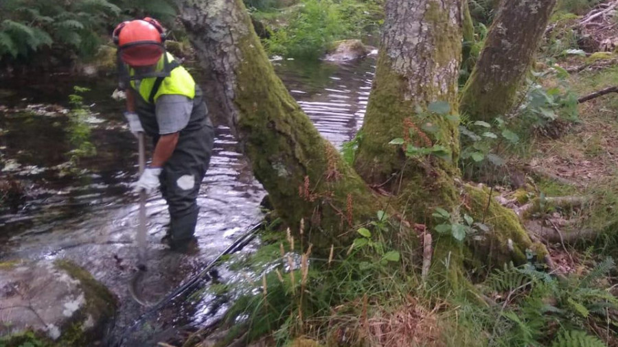 Augas de Galicia inicia los trabajos de limpieza de la cuenca del rego do Muíño