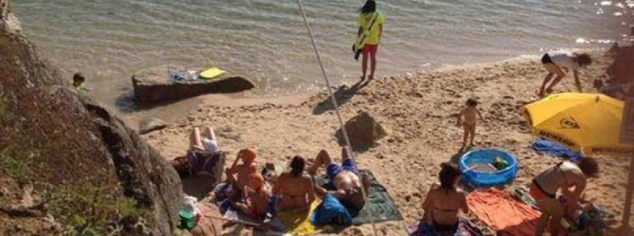 Las anémonas obligan a izar la bandera amarilla en la playa de Coroso