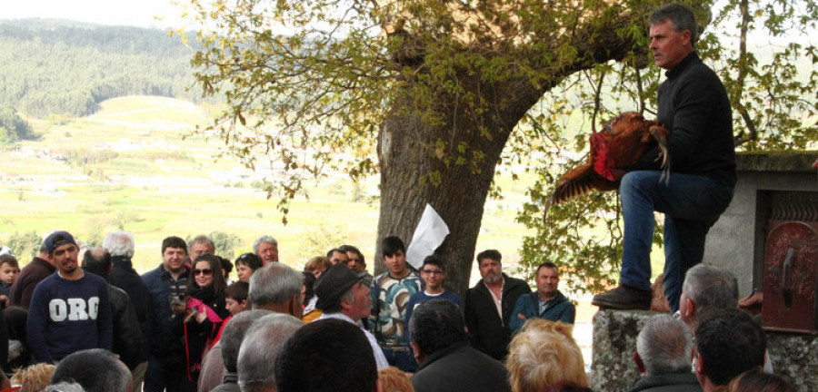 CAMBADOS / MEAÑO.- San Benito revive sus “poxas” y actos multitudinarios