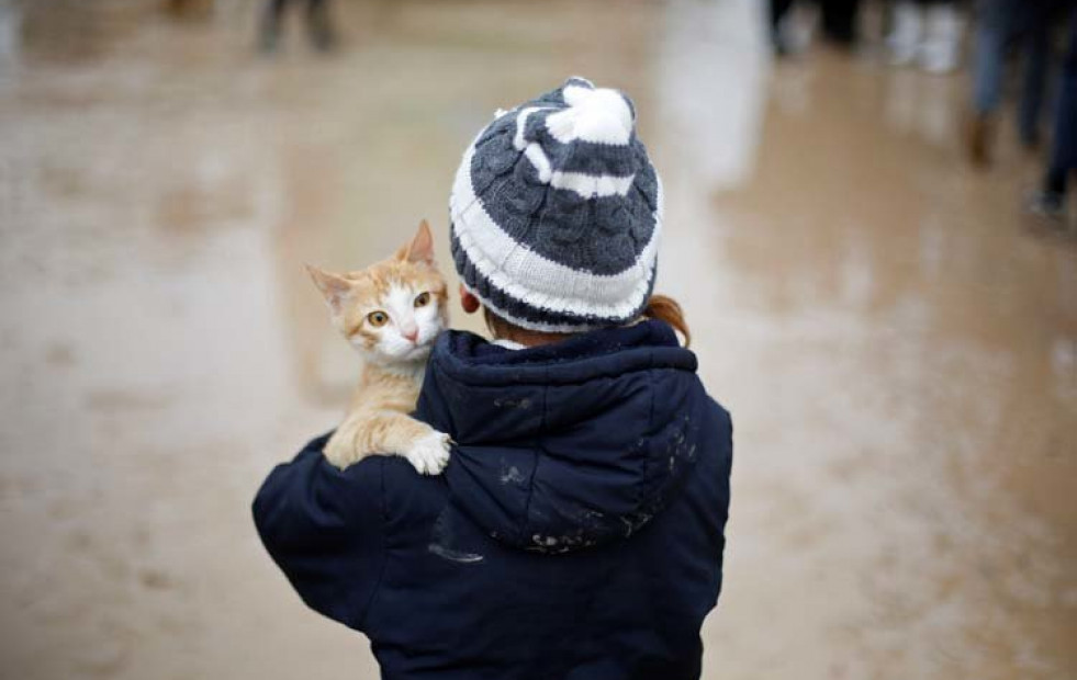 Lo que más le gusta a los gatos es relacionarse con los humanos
