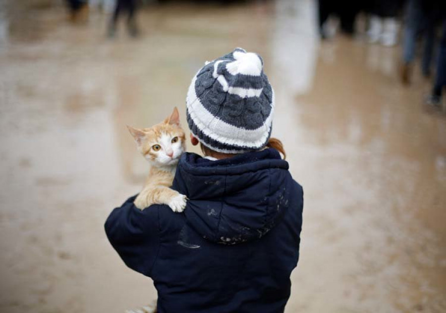 Lo que más le gusta a los gatos es relacionarse con los humanos