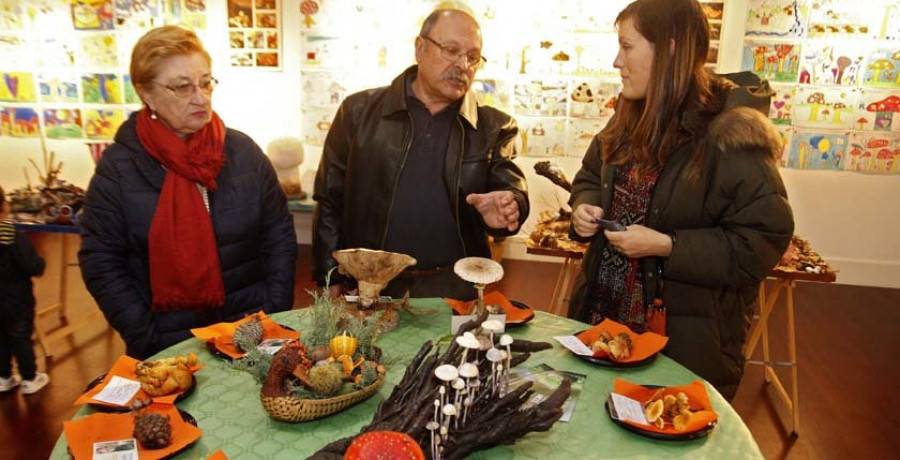 El otoño llega con setas y castañas como ejes de la cultura gastronómica