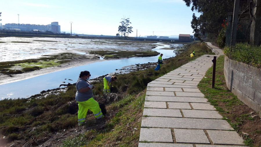 Una caja registradora entre los más de 200 kilos de basura retirados por Cambados Emprendedor en A Seca