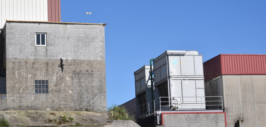 El botín robado de cajas fuertes de Congelados Coyomar supera ampliamente los 100.000 euros