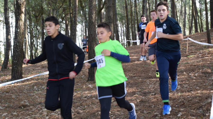 Reportaje | Esencia de deporte escolar y recuerdo para Vicente