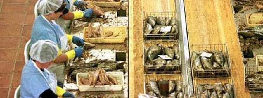 Miau vuelve al mercado después de cuatro años con producto y mano  de obra de Arousa